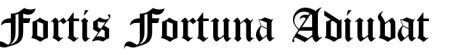 Тату надпись Fortes Fortuna adjuvat