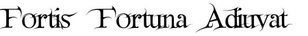 Fortes Fortuna adjuvat Джон уик