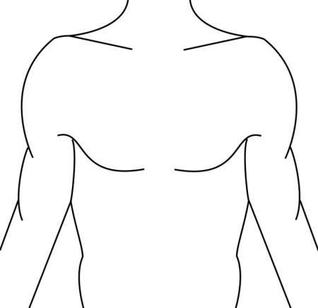 Контур туловища человека