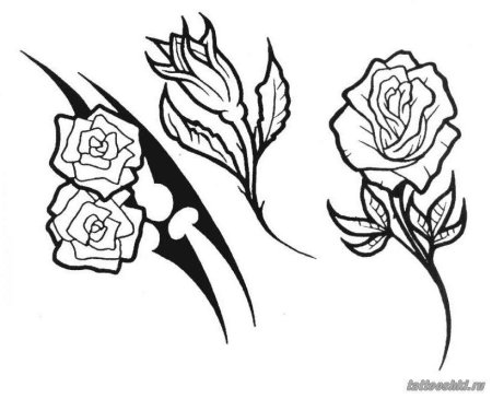 Оскал тигра тату эскиз