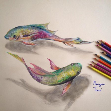 Рыбка цветными карандашами