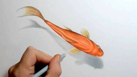 Рыба рисунок реалистичный