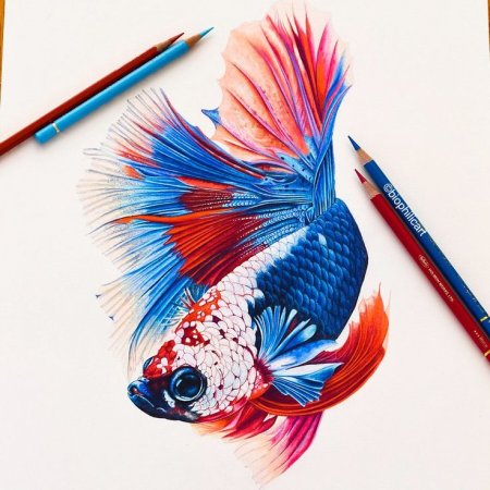 Рыбки маркерами