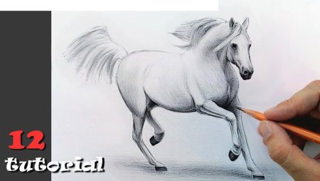 Азбука рисования карандашом