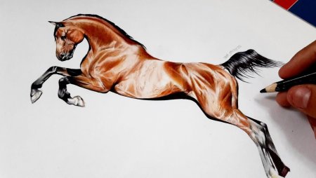 Рисунки 3д лошади