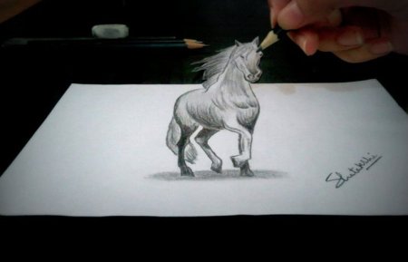 Рисунки про лошадей 3д карандашом