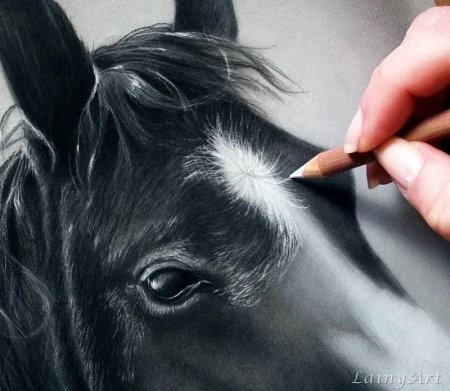 Стефан Пабст лошадь