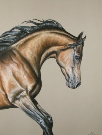 Лошадь поэтапно