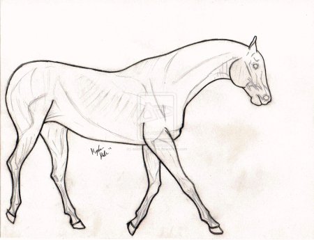 Граффити лошадь на стене