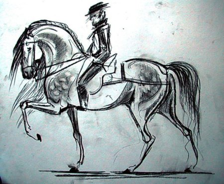 Набросок лошади на альбоме