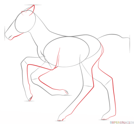 Лошадь карандашом