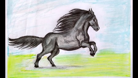 Обои лошади