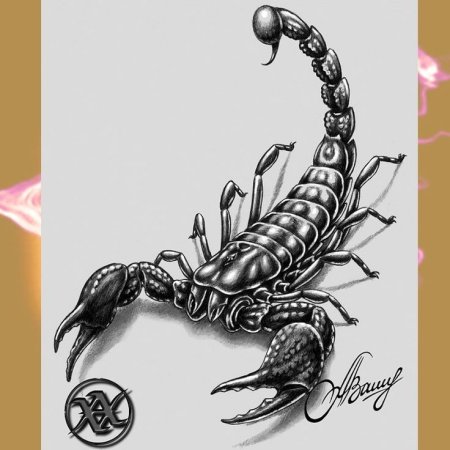 Скорпион эскиз