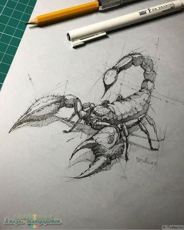Скорпион эскиз Графика