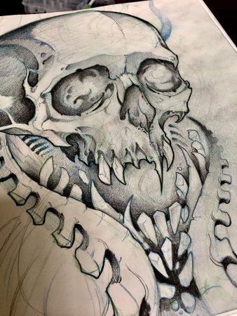 Биомеханический череп