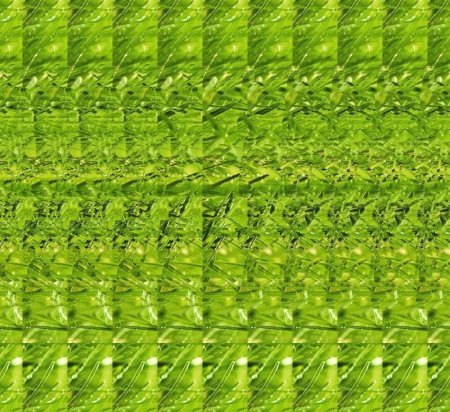 Стереограмма тигр