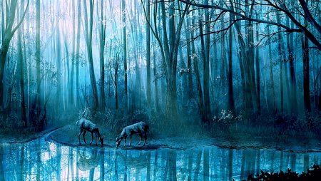 Темный лес картина