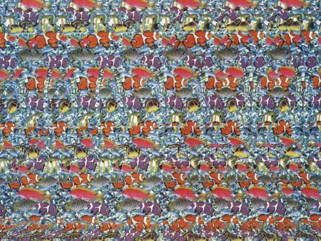 Стереограмма дельфины