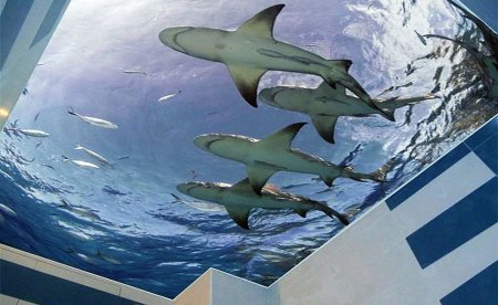 Натяжные потолки 3д фотопечать