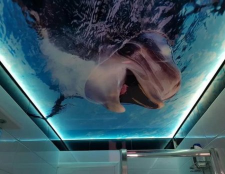 Неоновая краска для стен