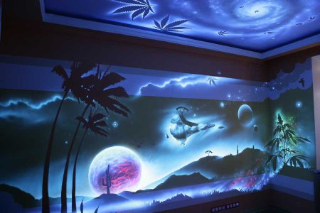 Натяжные потолки с фотопечатью