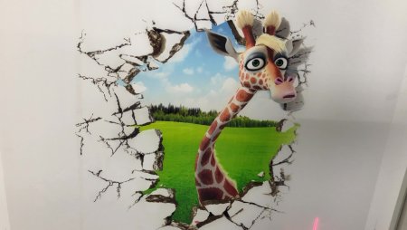 Настенный принтер Wallpen