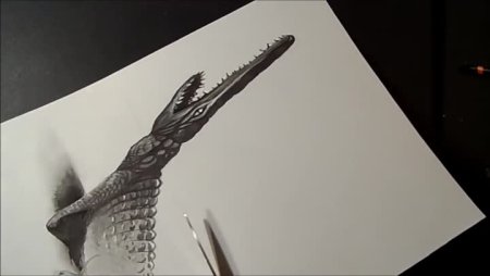 Крокодил 3d иллюзия