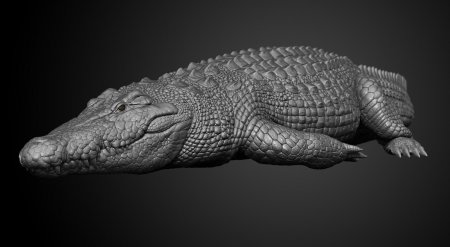 Аллигатор референс