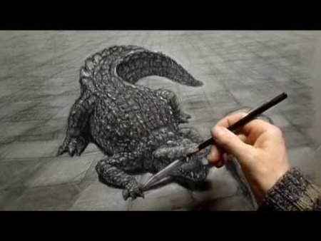 Крокодил рисунок реалистичный
