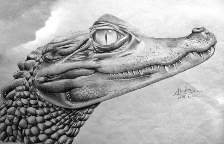 Крокодил карандашом