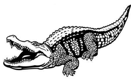 Крокодил 3д ручкой