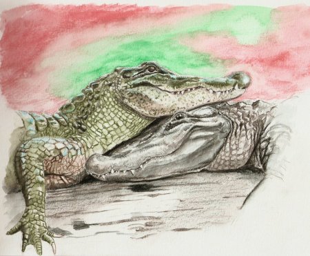 Крокодил карандашом для детей