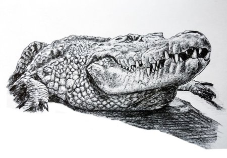 Аллигатор из мультфильма