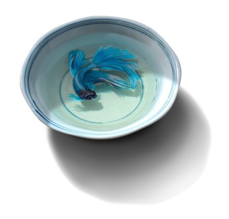 Риузуке Фукаори