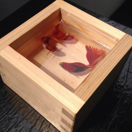 3д картины из эпоксидной смолы