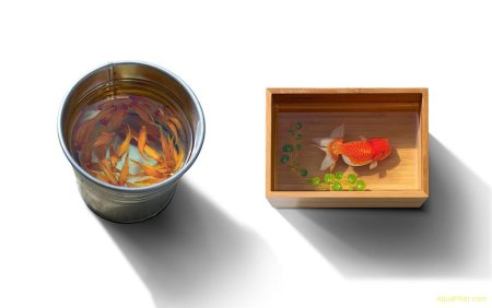 Карп кои в эпоксидной смоле