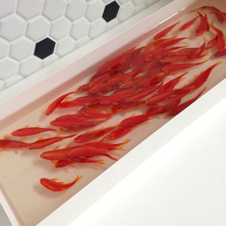 Художник Keng Lye.