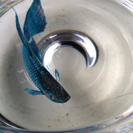 Художник Keng Lye.