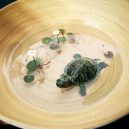 3д картины из эпоксидной смолы