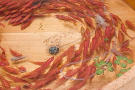 Рисование эпоксидной смолой и акрилом