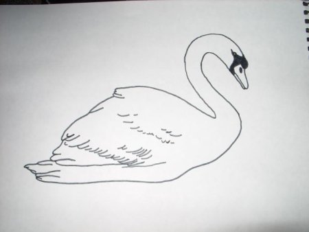 Рисование лебедя