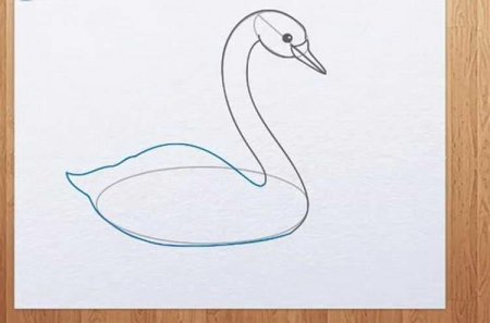 Лебедь рисунок карандашом