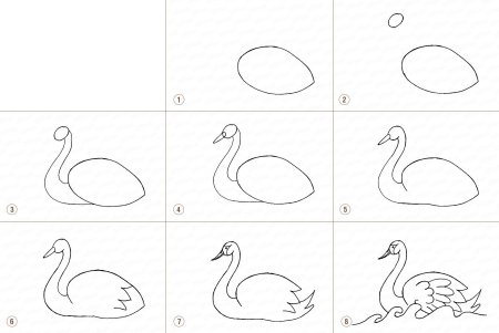 Лебедь трудный карандашом