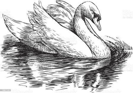 Трафарет лебедя для покраски