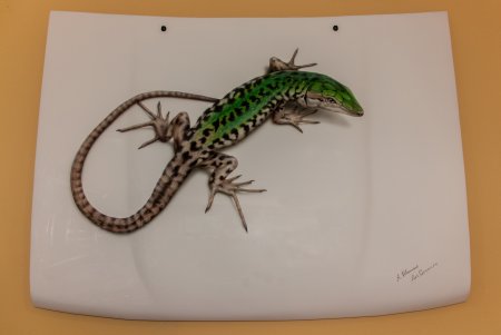 Аэрография ящерица