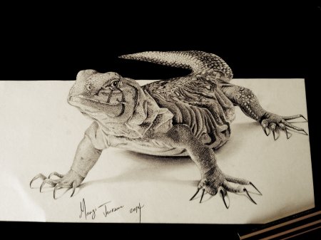 Ящерка рисунок реалистичный