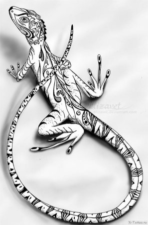 Ящерица эскиз