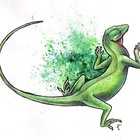 Рептилии рисунок