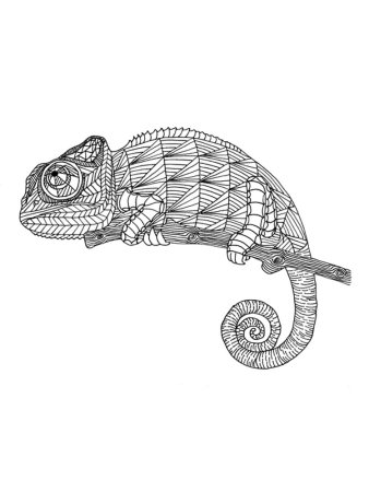 3d ящерица рисунок (48 фото)