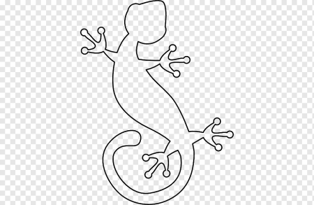 Ящерица контур